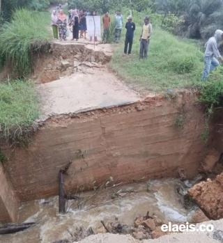 Jembatan Ambruk, Petani Swadaya Kesulitan untuk Beraktivitas ke Kebun 