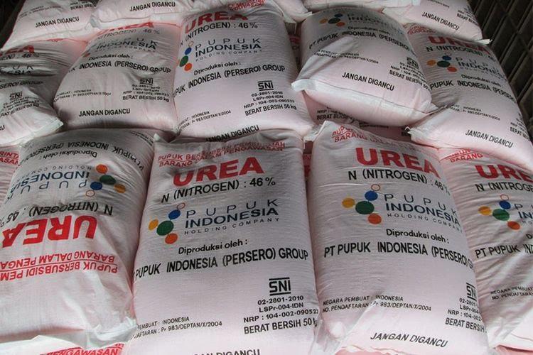 Harga Pupuk Turun hingga 49% Selama Tahun 2023