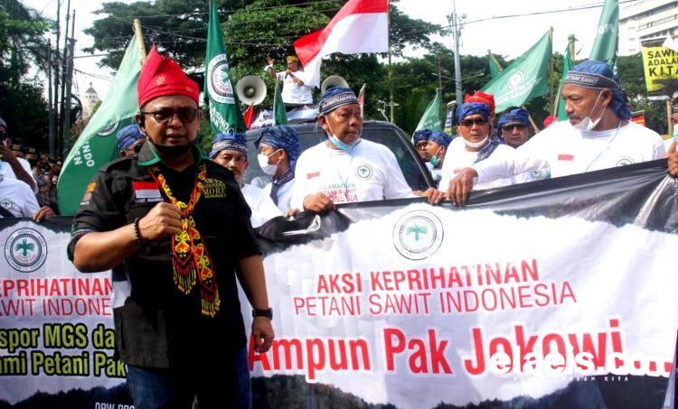 Petani Sawit: Sumber Hidup Kami Diganggu, Kami Akan Ofensif Melawan! 