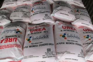 Harga Pupuk Turun hingga 49% Selama Tahun 2023