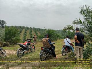 Kalau Sudah STDB, ISPO Bakal Lebih Gampang  