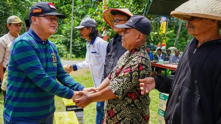 Gara-gara Sawit, Luas Panen Padi di Mukomuko Turun, Kok Bisa!