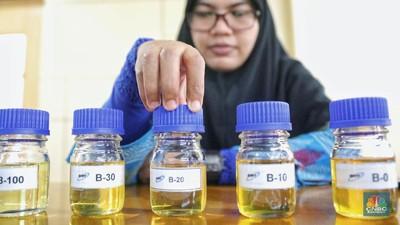 Naik Hampir Rp 400 Harga Biodiesel Sawit di Februari 2024