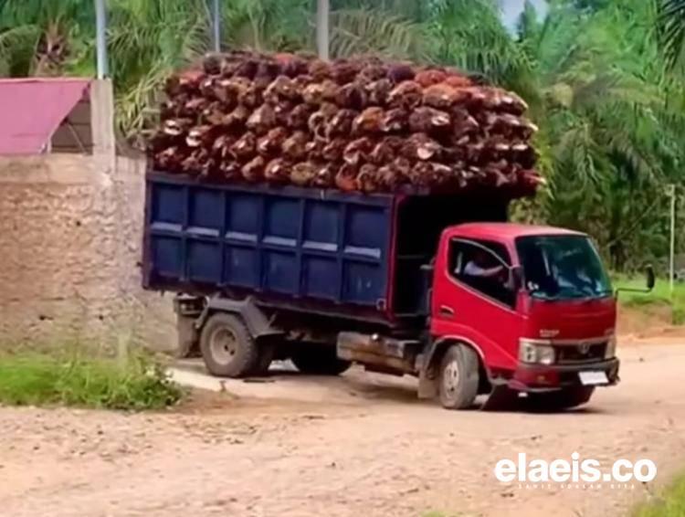 DPRD Kota Bengkulu Desak Dishub Tertibkan Truk Kelapa Sawit Over Kapasitas