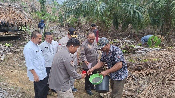 Produksi Gula Merah Sawit Hadapi Sejumlah Kendala, Pemkab Pasbar Lakukan ini