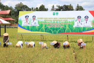 Petani di Riau Diminta Tidak Konversi Sawah Jadi Kebun Sawit