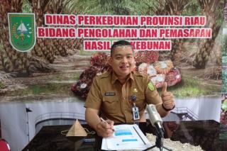 Riau Terus Perbaiki Tata Niaga Sawit Agar Tak Ada yang Dirugikan