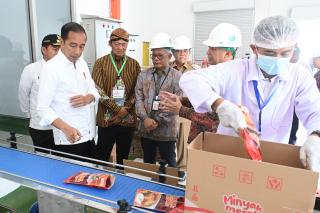 Presiden Jokowi Resmikan Pabrik Minyak Makan Merah, KPPU Justru Bilang Begini