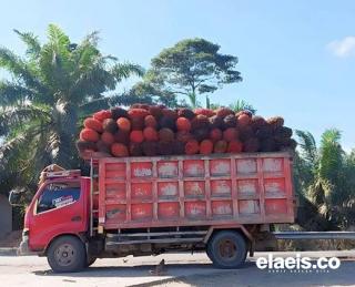 Dishub Bengkulu Imbau Pengusaha Angkutan TBS Kelapa Sawit Lakukan Uji KIR