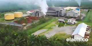 Pabrik Minyak Goreng Tak Terealisasi, Petani Sawit di Bengkulu Sebut Pemerintah Pembohong