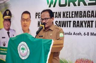 Kemitraan Sangat Dibutuhkan untuk Peningkatan Produktivitas Sawit Rakyat Aceh