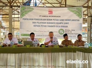 Bikin Pelatihan di Tualang, PT AIP Dorong Petani Sawit Bersertifikasi ISPO-RSPO