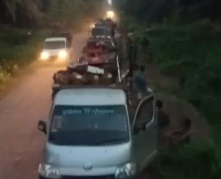 Polisi Gencar Ringkus Pelaku Penjarahan Sawit di Kalteng, Petani Minta Merata