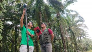 Unilever dan Meridia Petakan Petani Sawit di Aceh, Sumut, dan Riau untuk Sertifikasi RSPO