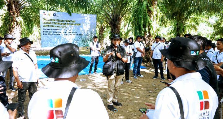 BPDPKS, Ditjenbun, dan PT RPN Lakukan Ini ke Petani Sawit Nagan Raya di Banda Aceh