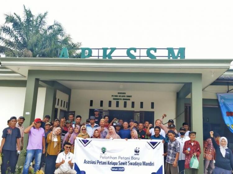 Selama 2 Hari, 84 Petani Sawit Kuansing Jalani Pelatihan APKSSM