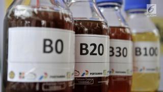 Kebijakan Biodiesel Diyakini Tidak Berdampak ke Harga CPO