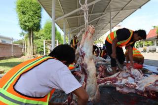 Perusahaan Perkebunan Pelat Merah ini Salurkan 20.000 Paket Daging Kurban