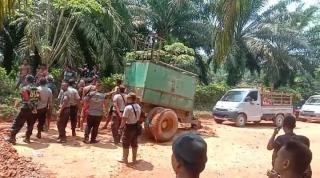 Penjarahan Sawit Masih Terus Terjadi, DKPP Seruyan Bilang Gini