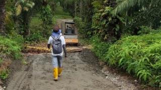 Terkendala Proses Lelang, Jalan Kebun Sawit di Rambah Muda Tak Kunjung Dibangun