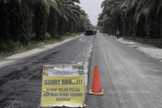 Jatah DBH Sawit Riau Tahun ini Menciut Rp 13 Miliar, Apa Sebabnya?