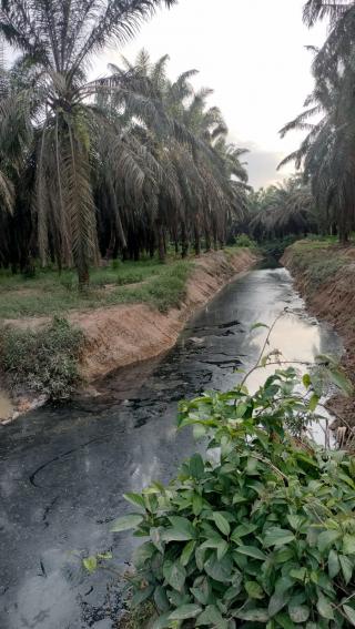 Dua Sungai di Ujungbatu Tercemar Limbah, PT KCN Keberatan Jadi Tertuduh