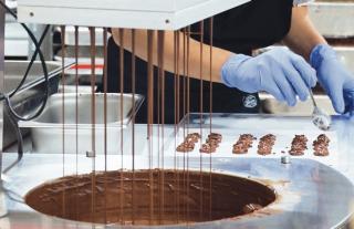 Asosiasi Industri Dukung Penugasan kepada BPDPKS Mengurus Kakao