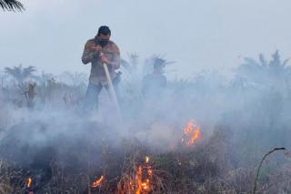 10 Hektar Lahan HGU PT PHI Terbakar, Api Diduga dari Area ini