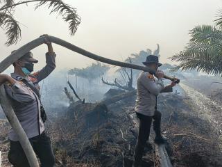 Jika Tak Siaga Karhutla, Perusahaan di Rohil Siap-siap Kena Sanksi