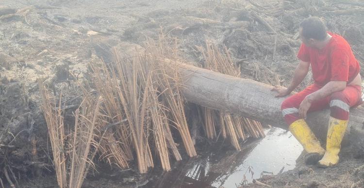 Giam Siak Kecil Terbakar Diduga Akibat Pembukaan Lahan Kebun Sawit