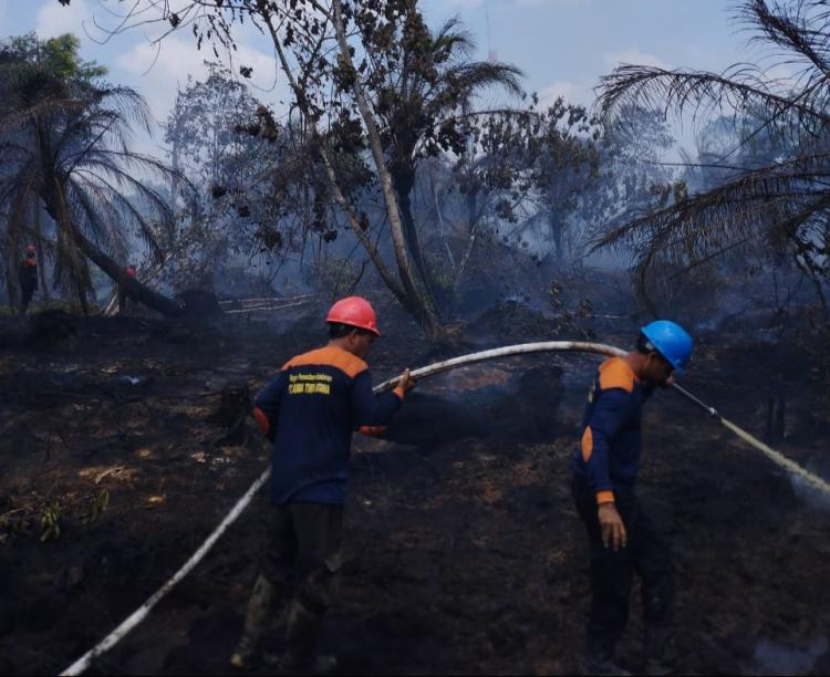 Sigap Hadapi Karhutla, PT Kimia Tirta Utama Bantu Padamkan Api di Dayun Siak