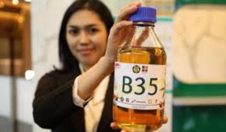 Biofuel, Energi Bersih Berkelanjutan Indonesia di Masa Depan