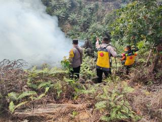 Gulat: Karhutla di Riau Bukan Karena Budidaya Sawit 