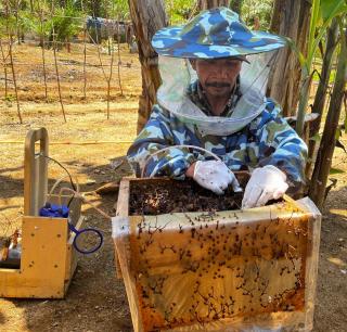 Penyerahan STDB dan Panen Madu Trigona Tandai Keberhasilan Program SLV