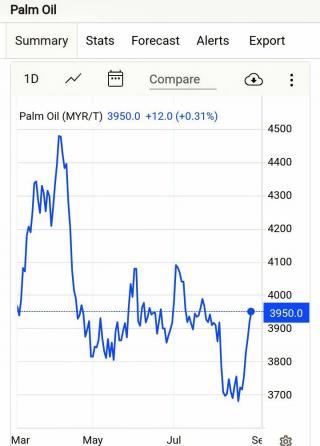 Timteng, India, dan Sikap RI Bikin Harga CPO Meroket