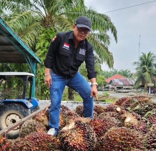 Apkasindo Dukung Rencana Pemkab Agam Realisasikan DBH Untuk Jaminan Sosial Petani Sawit