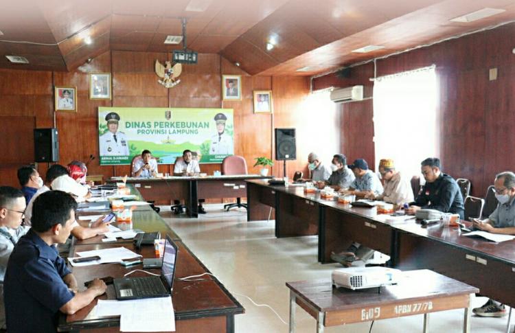 Harga TBS Sawit Tertinggi di Lampung Ditetapkan Rp 2.210,65/Kg