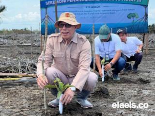 Misi GAPKI Menyelamatkan Pesisir Pantai Kobar