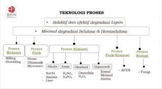 Potensinya Melimpah, ini Tantangan Pemanfaatan Biomassa Lignoselulosa untuk Pakan Ternak