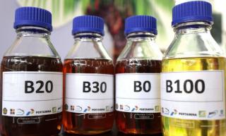 Pemerintah Umumkan Pengadaan Biodiesel Tahun 2025