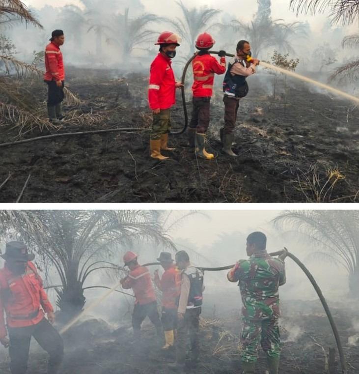 Padamkan Karhutla di Kebun Sawit, Tim Gabungan Terbantu Oleh Hujan