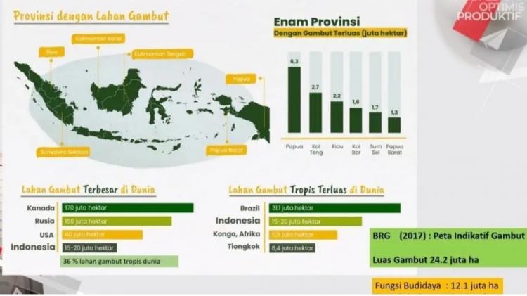 Hasil Riset: Penetapan Kedalaman Muka Air Tanah Gambut Maksimum 40 cm Tidak Realistis