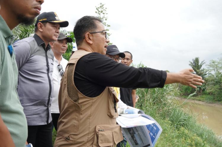 Alih Fungsi Lahan Padi Jadi Kebun Sawit Marak, Warga Tak Bisa Disalahkan