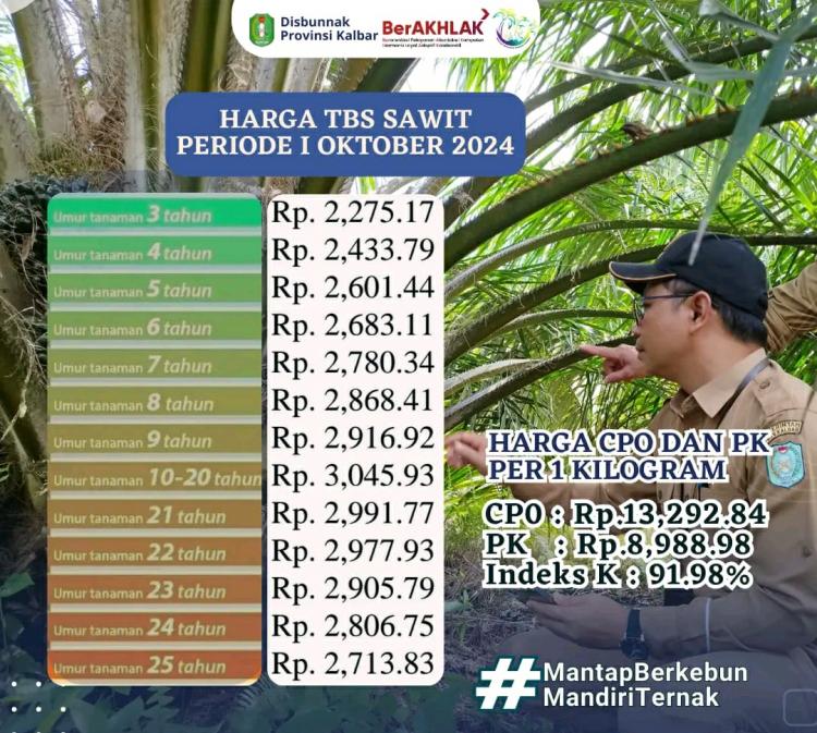 Harga TBS Sawit Kalbar Tembus Rp 3.000/Kg