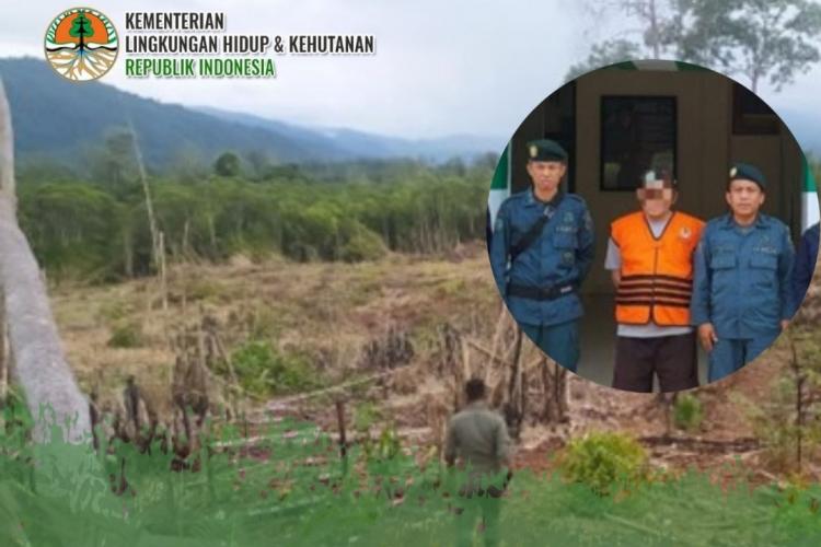 Buka Kebun Sawit di Cagar Alam Faruhumpenai, Hukuman ini Menanti Pelaku