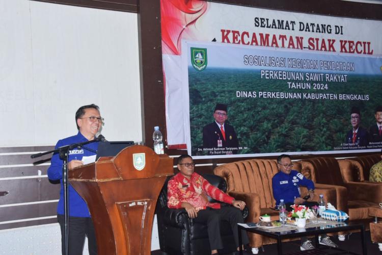 Pentingnya Pendataan Perkebunan Sawit Rakyat Disosialisasikan di Siak Kecil