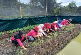 Perusahaan Sawit PT ANJA Dampingi  Poktan Mandasip Berdikari, Produk Inovatif Dihasilkan