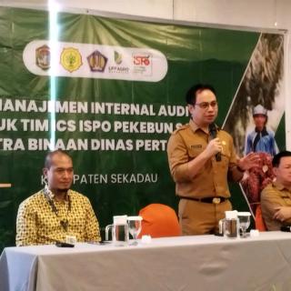 Percepat Sertifikasi ISPO, Lembaga Pekebun Dilatih Manajemen Internal Audit