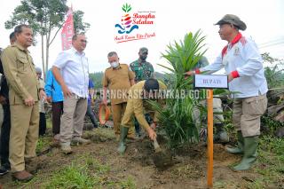 Babel Dapat Alokasi Peremajaan Sawit 850 Ha, Terluas di Bangka Selatan