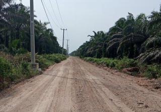 PT KTU Sigap Lakukan Perbaikan Jalan Lubuk Miam-Simpang Kuala Gasib 